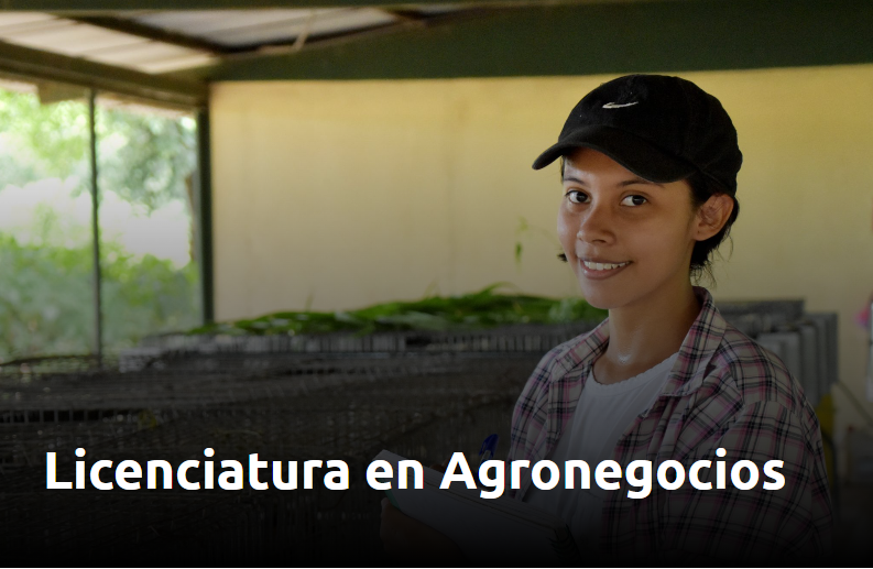 Licenciatura en Agronegocios