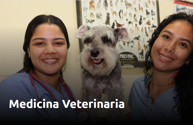 Medicina Veterinaria