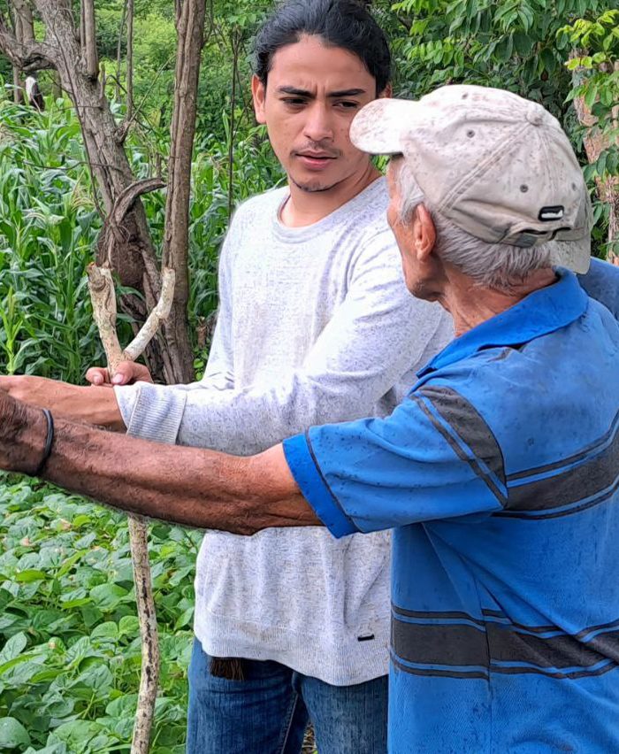 Avances de la Facultad de Agronomía en 2023