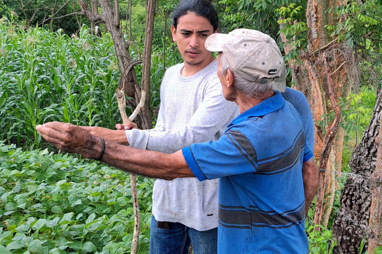 Avances de la Facultad de Agronomía en 2023