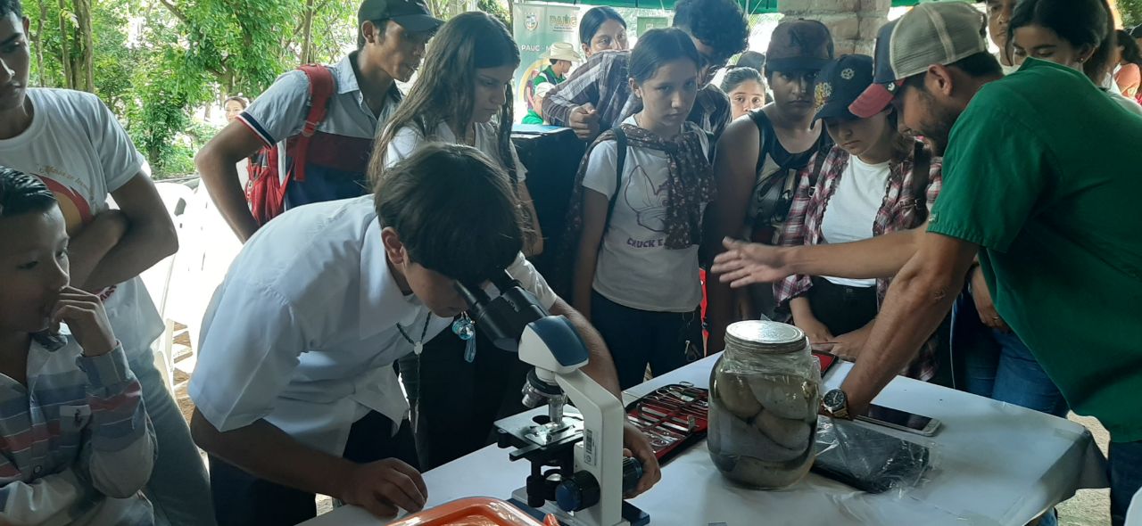 Estudiantes en día campo