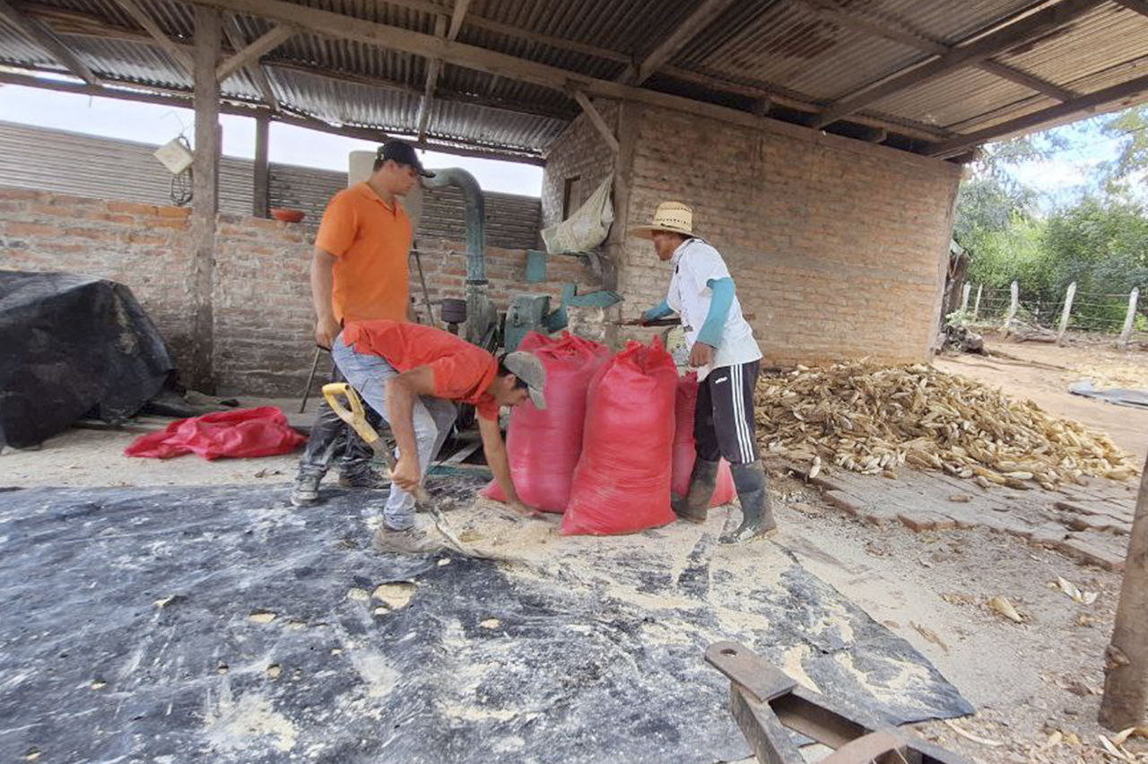 Trabajadores del centro de apoyo académico y desarrollo tecnológico