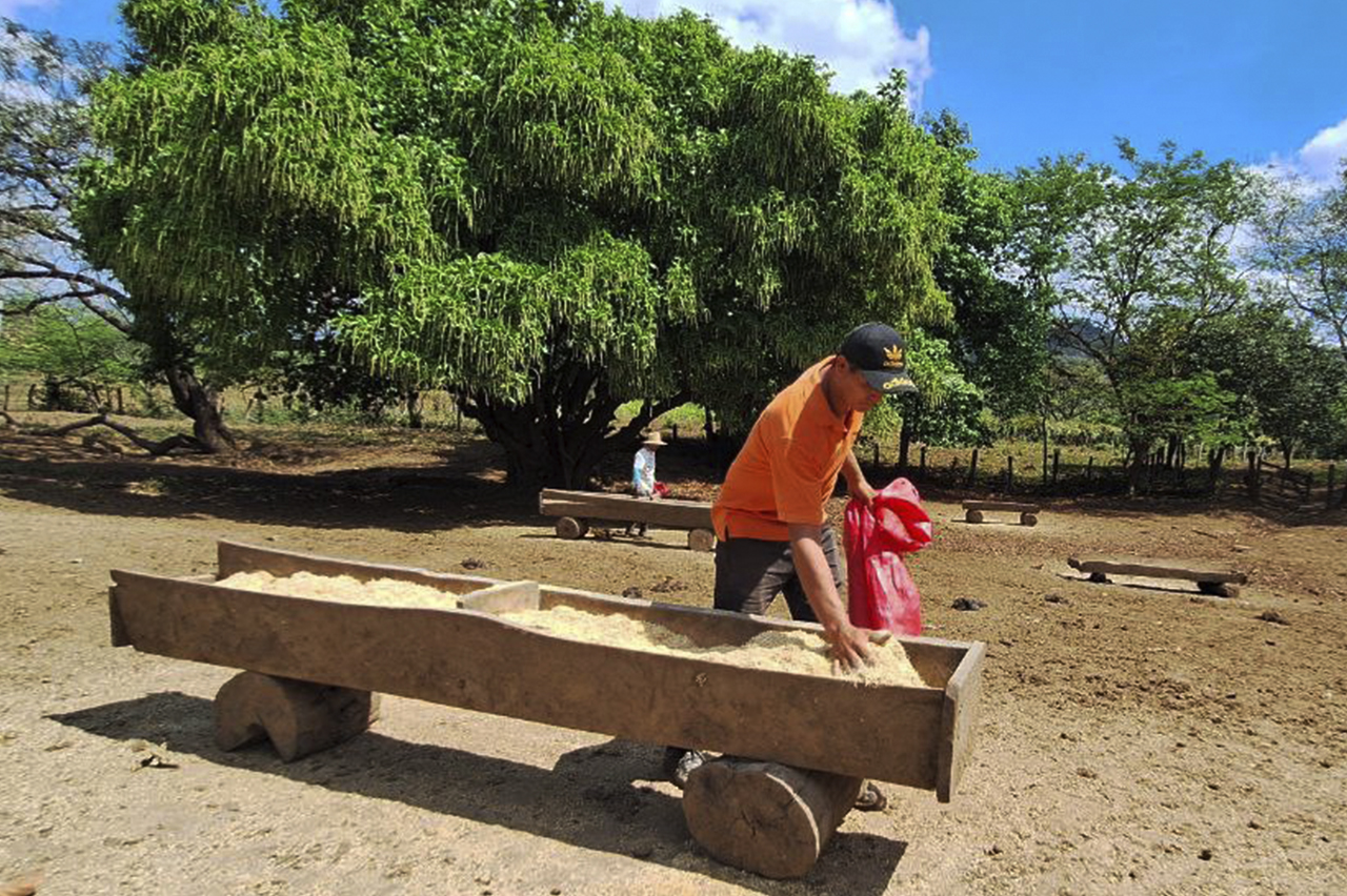 Trabajadores del centro de apoyo académico y desarrollo tecnológico