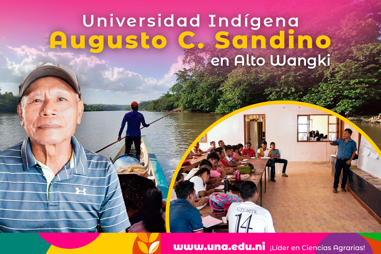 Estudiantes de Universidad Indígena en Alto Wangki