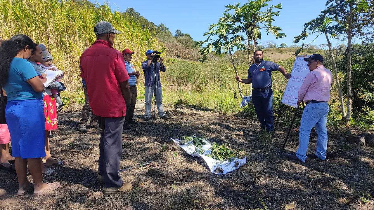 Tecnoagro 2024