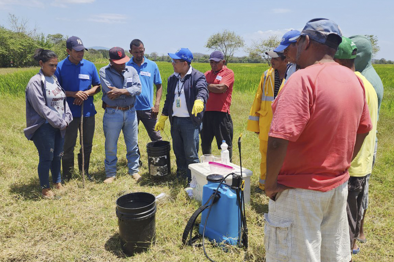 Diplomado TecnoAgro