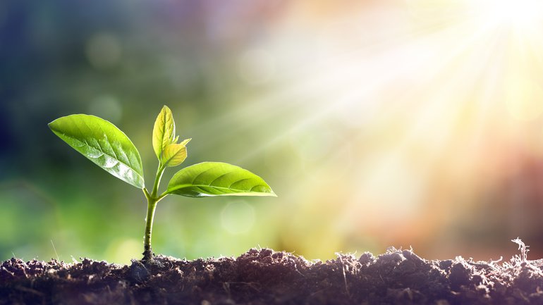 Producción de semillas, Tecnoagro 2024