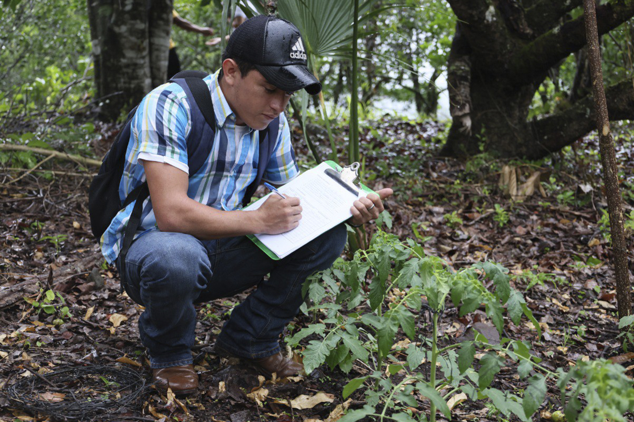 Estudiantes de la UNA en los procesos de investigaciones