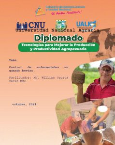 Portada41