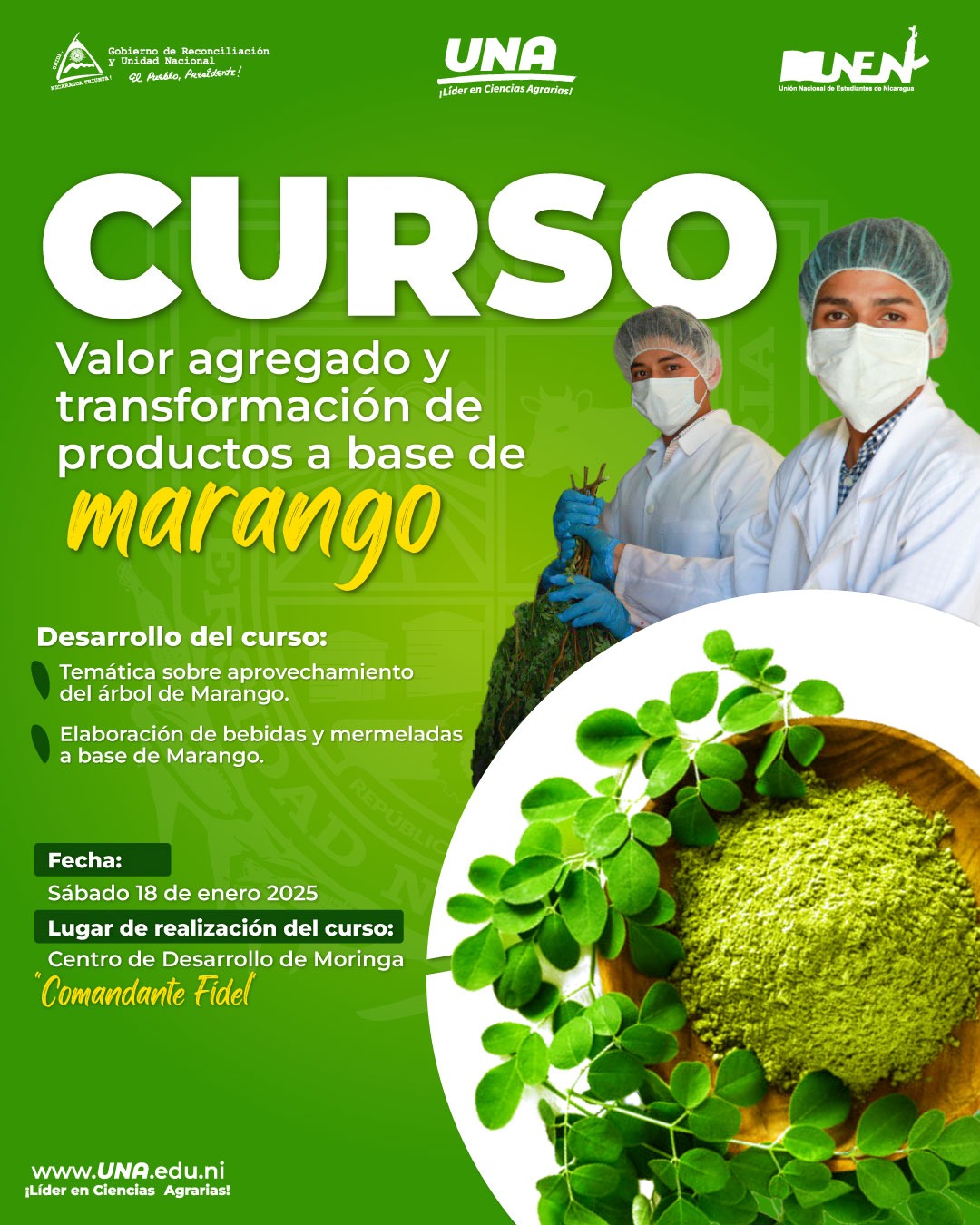 Valor agregado y transformacion