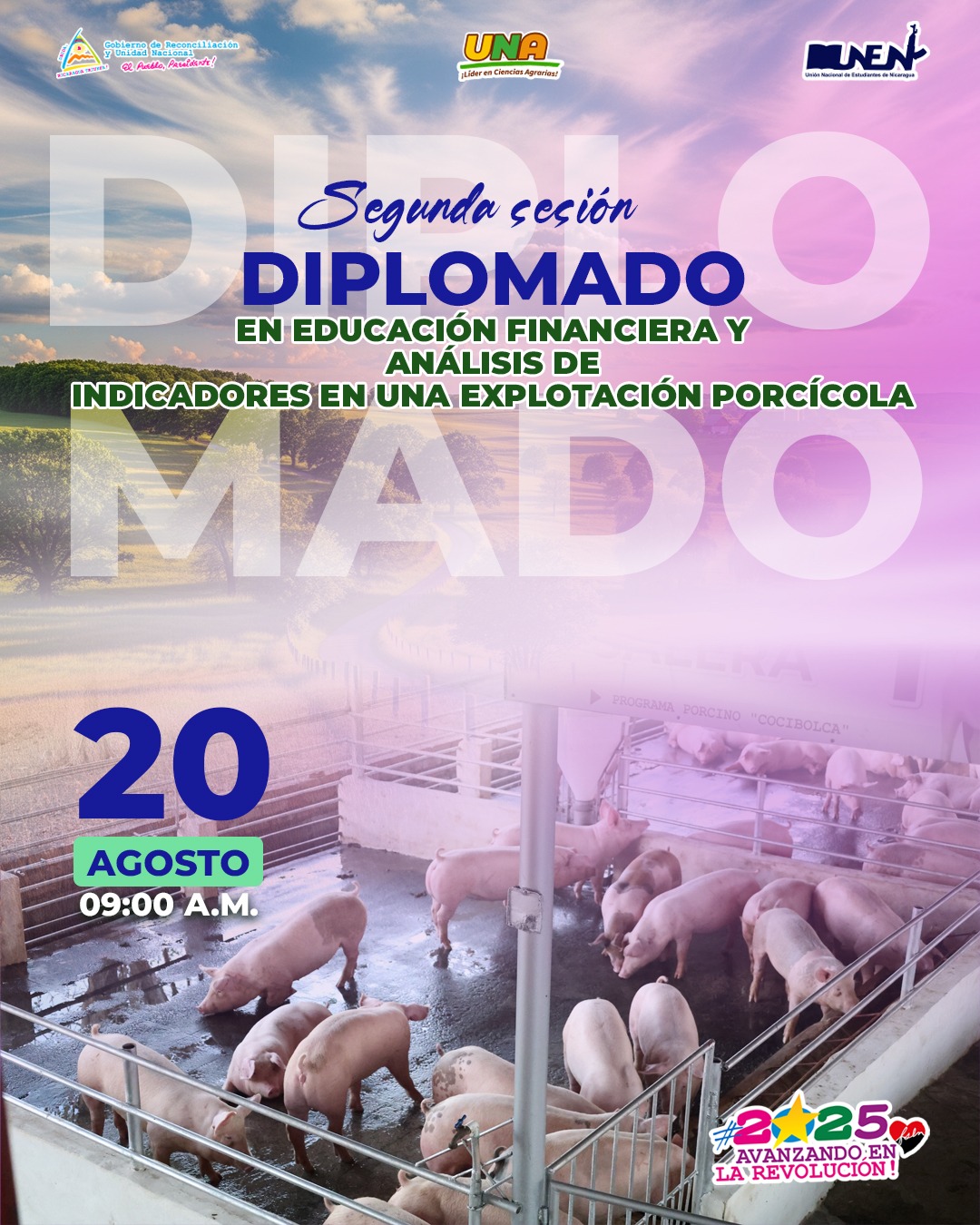 Educacion financiera y analisis de indicadores