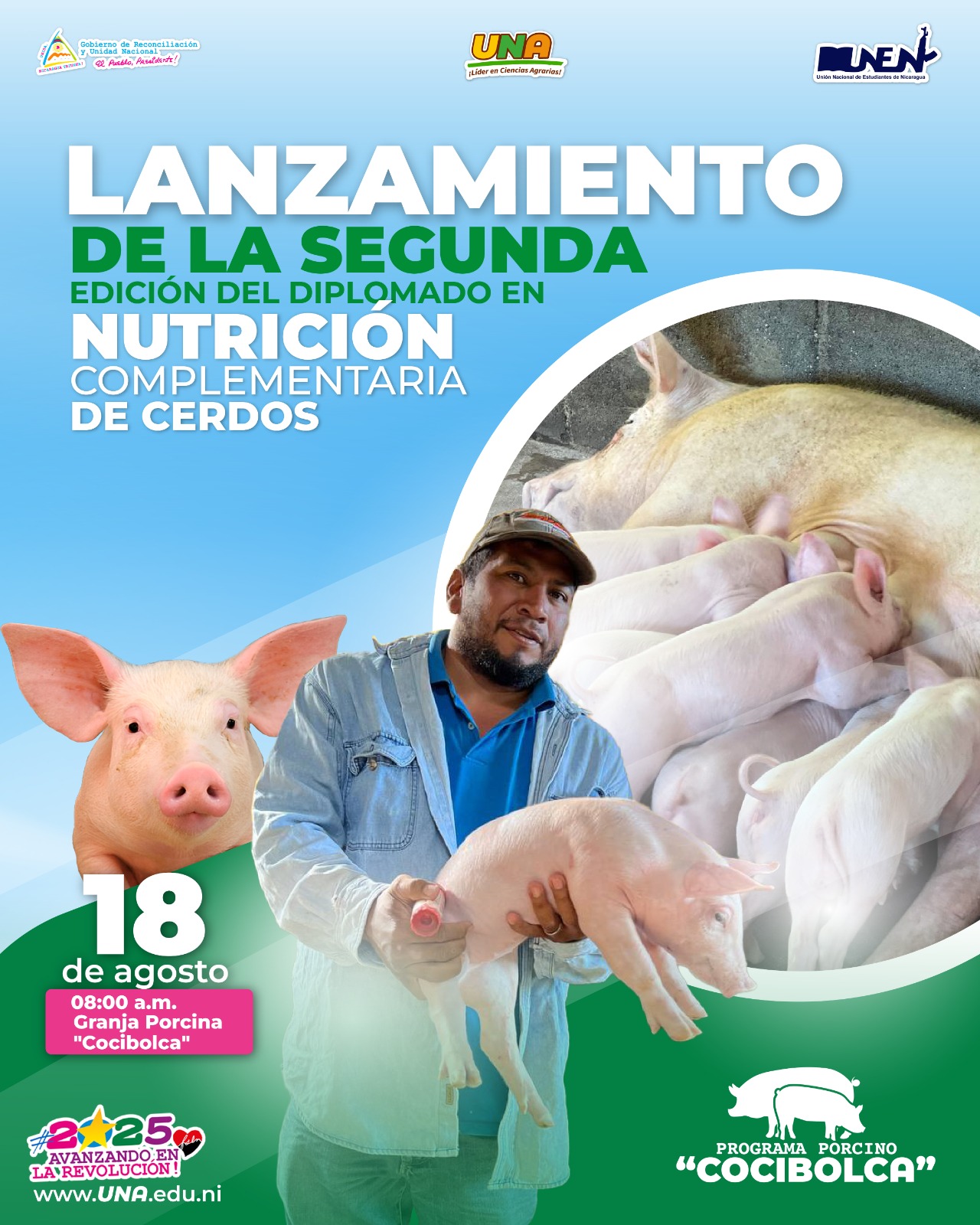 Nutricion complementaria de cerdos ii edicion