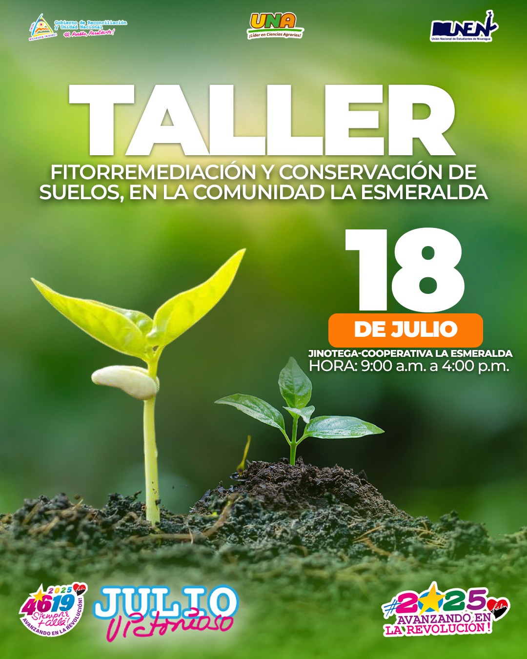 Fitorremediacion