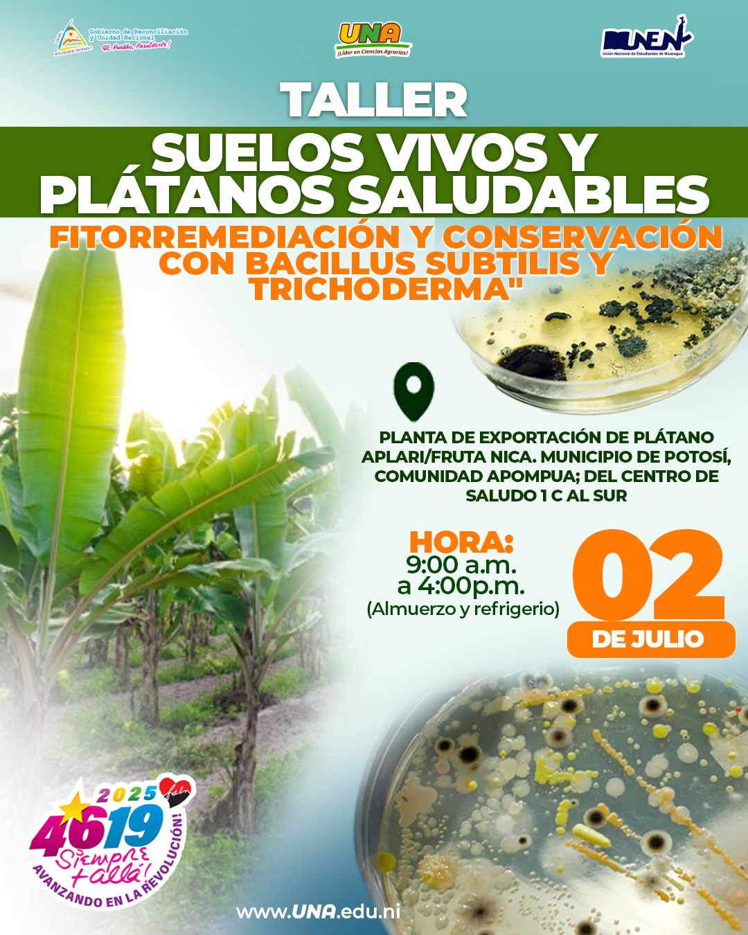 Suelos vivos y plátanos
