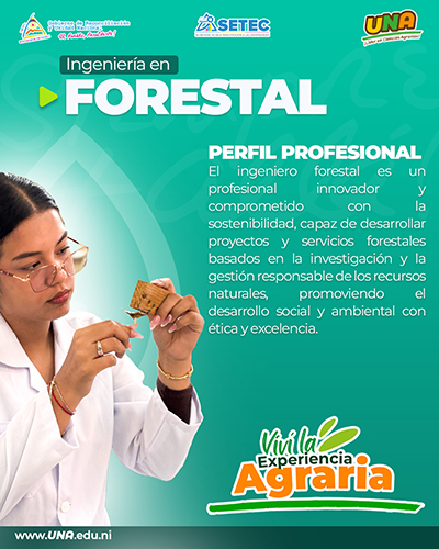 Ingeniería Forestal
