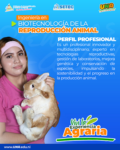 Ingeniería en Biotecnología de la Reproducción Animal