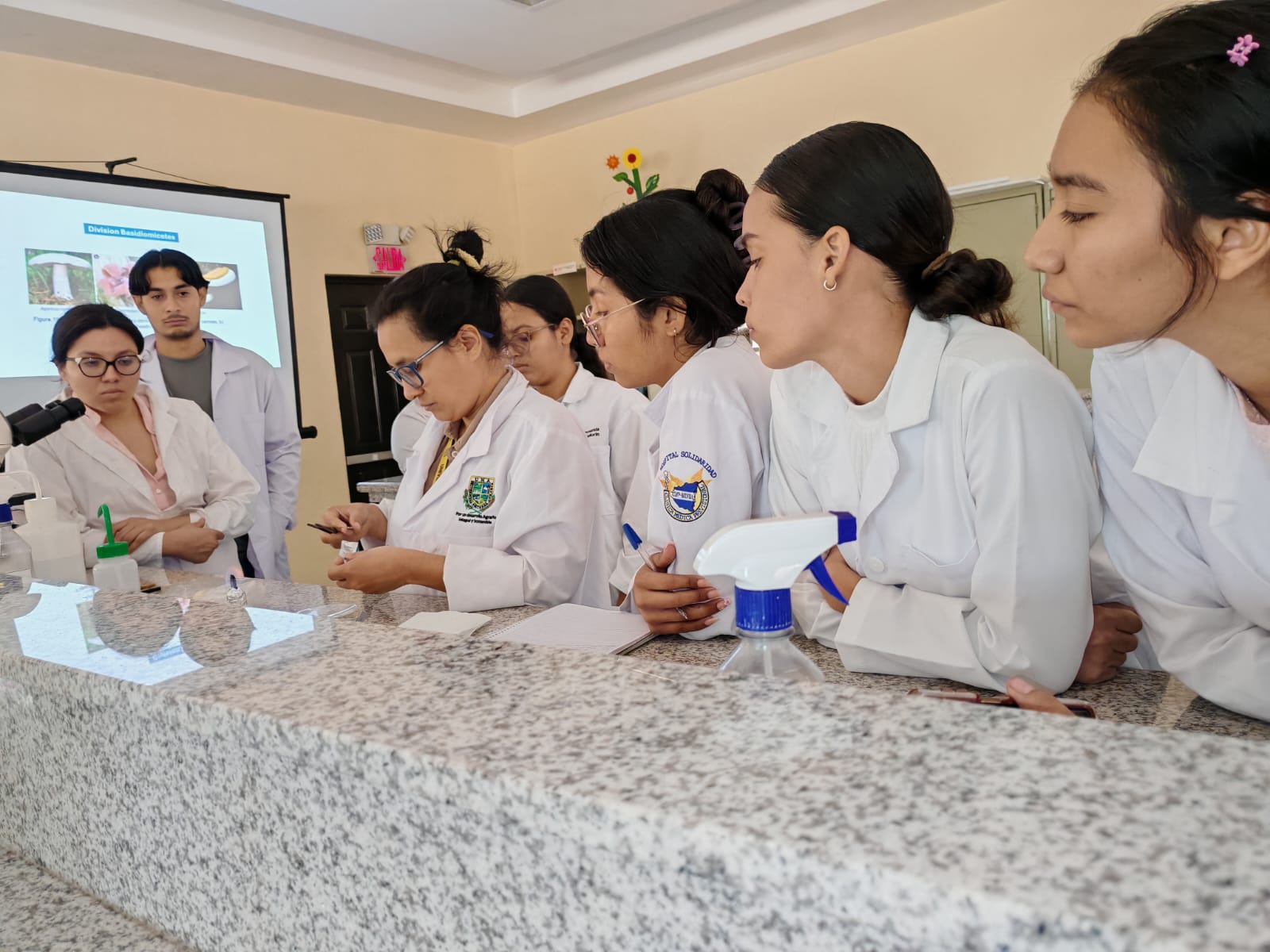 Participantes del diplomado