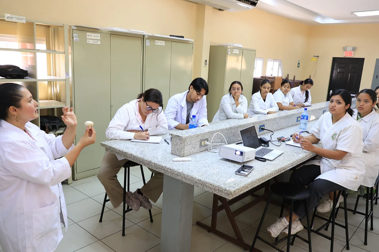 primer Diplomado en Hongos Comestibles en Nicaragua