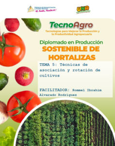 Portada_Tema5_Diplomado
