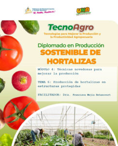 Portada_Tema6