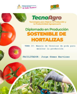 Portada-Material-Educativo-Hortalizas-Tema 10 PODA