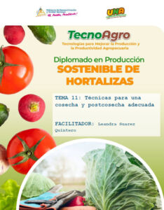 Portada_Material_Edu_Tema11