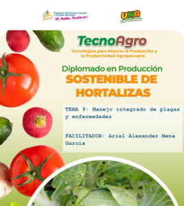 Portada_Tema9_2026