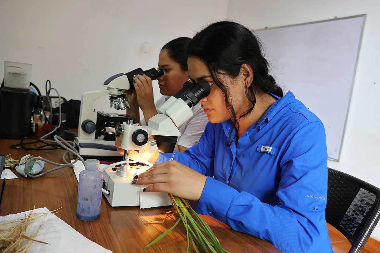 biotecnologia Vegetal